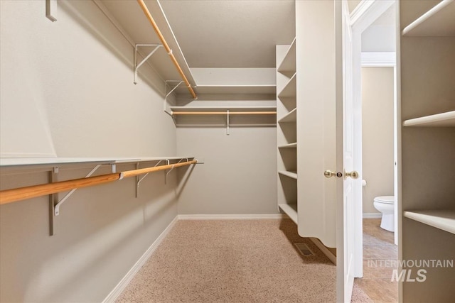 view of spacious closet