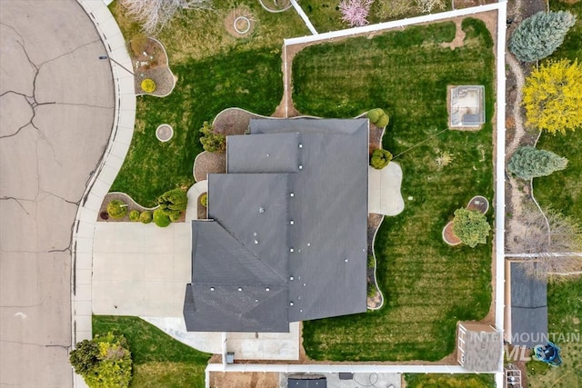bird's eye view