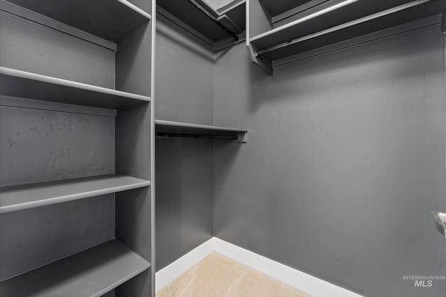 918 N 31st St, Boise, ID 83702 - walk in closet featuring carpet floors