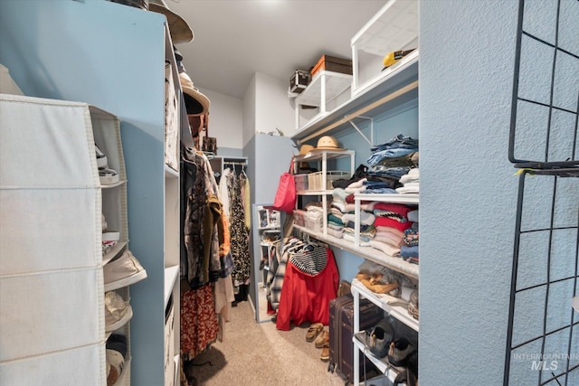 spacious closet with carpet floors