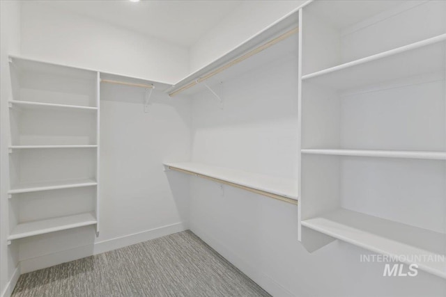 13958 Levendi Ct, Caldwell, ID 83607 - walk in closet featuring carpet flooring