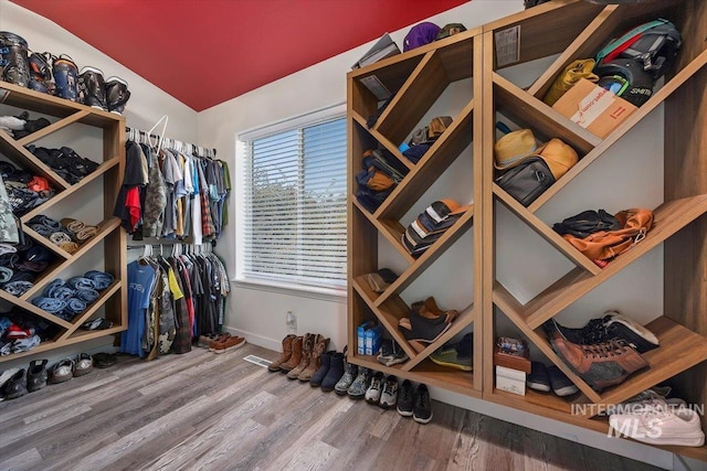 wine room featuring baseboards and wood finished floors