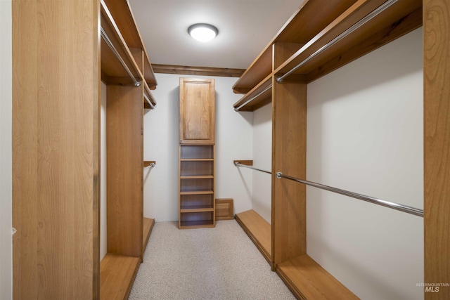 205 Shaun Ln, Hailey, ID 83333 - spacious closet featuring light carpet