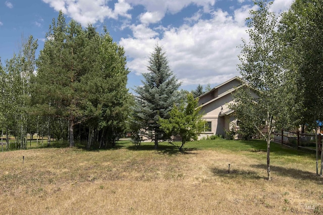 205 Shaun Ln, Hailey, ID 83333 - view of yard