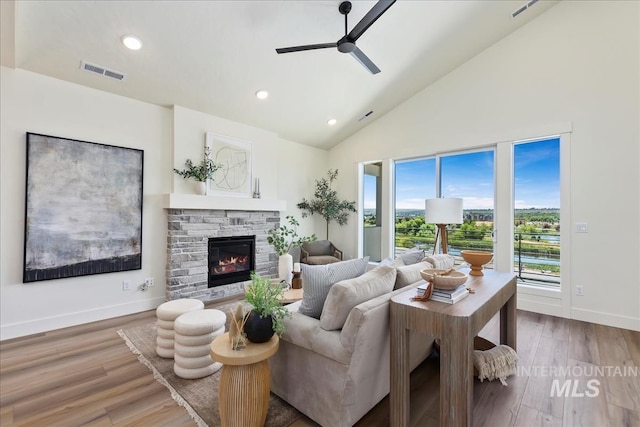 living room with hardwood / wood-style flooring, plenty of natural light, and a stone fireplace