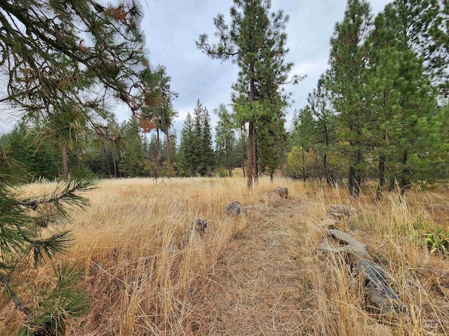 85 Cottage Rd, Anatone, WA 99401 - view of woods