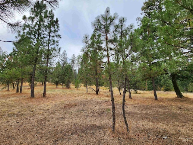 85 Cottage Rd, Anatone, WA 99401 - view of nature