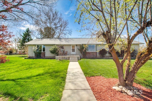 ranch-style house featuring stucco siding and a front yard