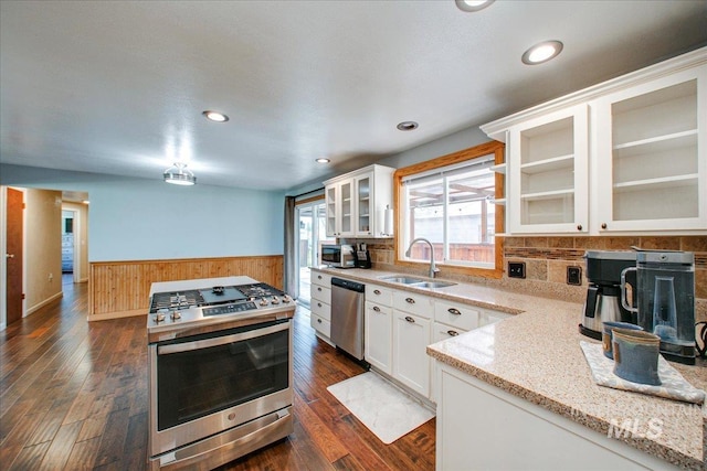 kitchen featuring a sink, wooden walls, a wainscoted wall, appliances with stainless steel finishes, and dark wood-style flooring