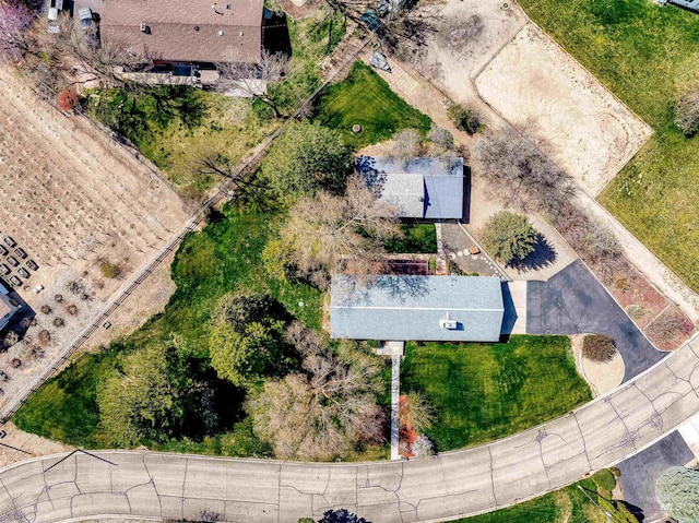 drone / aerial view