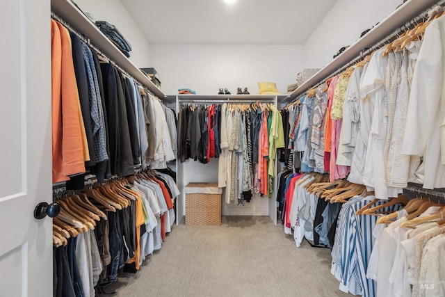 5222 S Montague Way, Meridian, ID 83642 - walk in closet with carpet floors