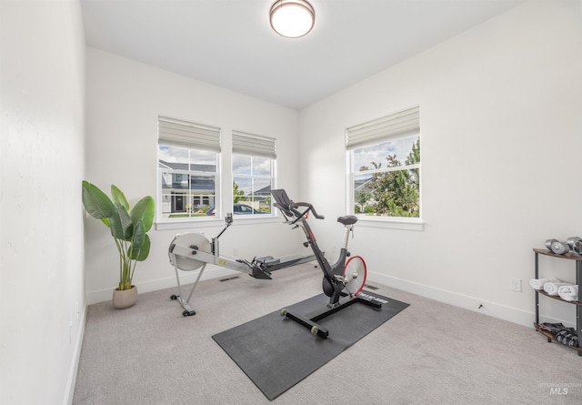 5222 S Montague Way, Meridian, ID 83642 - workout area with carpet and baseboards