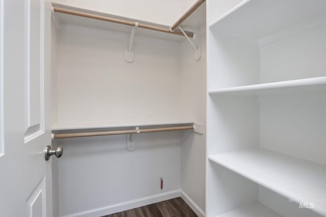 spacious closet with dark wood-type flooring