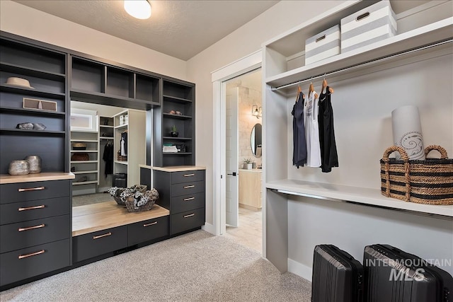 spacious closet featuring light colored carpet