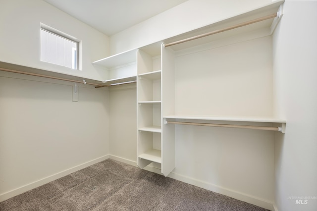 8235 W Tether St, Boise, ID 83709 - walk in closet with carpet flooring