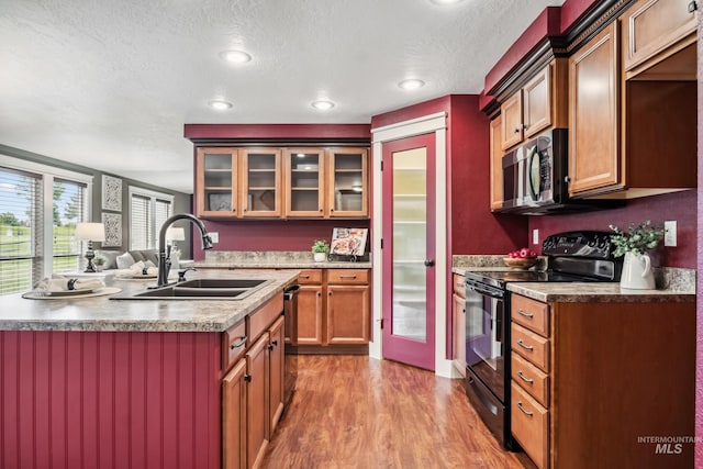 810 N Eagle Hills Way, Eagle, ID 83616 - kitchen featuring appliances with stainless steel finishes, a sink, wood finished floors, a textured ceiling, and glass insert cabinets