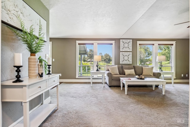 810 N Eagle Hills Way, Eagle, ID 83616 - living room featuring plenty of natural light, a textured ceiling, light carpet, and baseboards