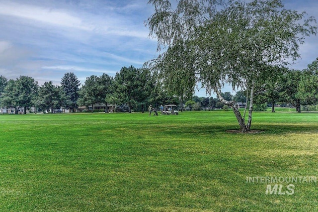 810 N Eagle Hills Way, Eagle, ID 83616 - surrounding community featuring a yard