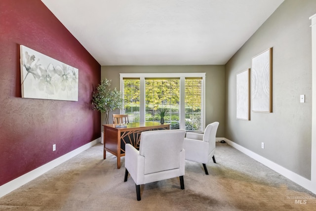 810 N Eagle Hills Way, Eagle, ID 83616 - carpeted office space with vaulted ceiling and baseboards