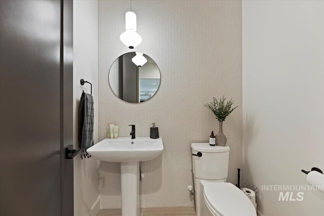 bathroom featuring hardwood / wood-style flooring, sink, and toilet