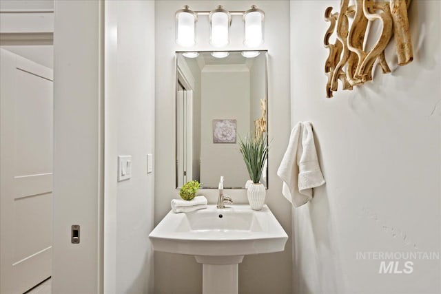 bathroom with ornamental molding