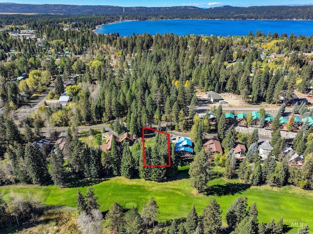 1365 Divot Ln, Mccall, ID 83638