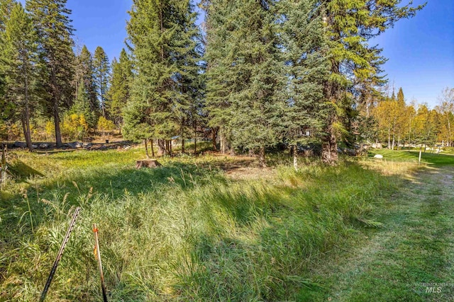 1365 Divot Ln, Mccall, ID 83638
