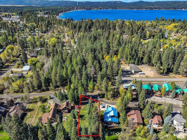 1365 Divot Ln, Mccall, ID 83638