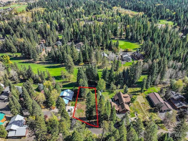 1365 Divot Ln, Mccall, ID 83638