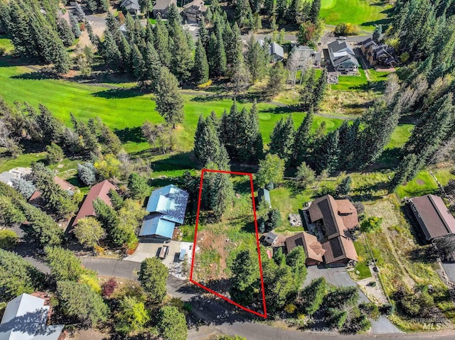 1365 Divot Ln, Mccall, ID 83638