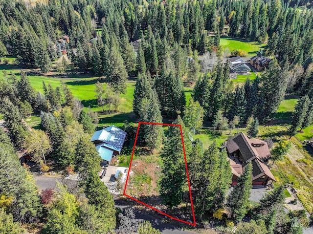 1365 Divot Ln, Mccall, ID 83638