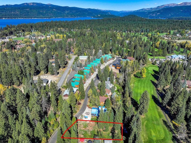1365 Divot Ln, Mccall, ID 83638