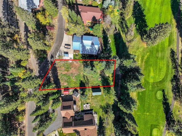 1365 Divot Ln, Mccall, ID 83638