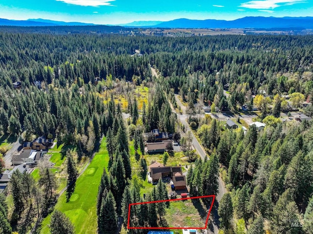 1365 Divot Ln, Mccall, ID 83638