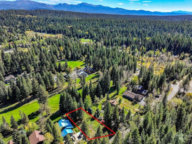 1365 Divot Ln, Mccall, ID 83638