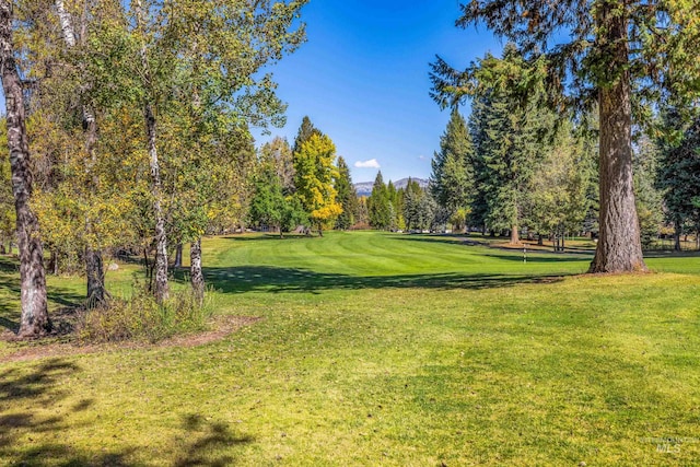 1365 Divot Ln, Mccall, ID 83638