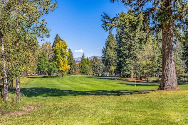 1365 Divot Ln, Mccall, ID 83638
