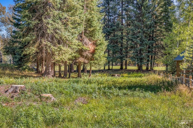 1365 Divot Ln, Mccall, ID 83638