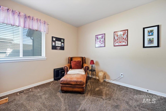 sitting room with carpet floors