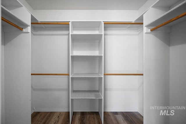 walk in closet with wood finished floors
