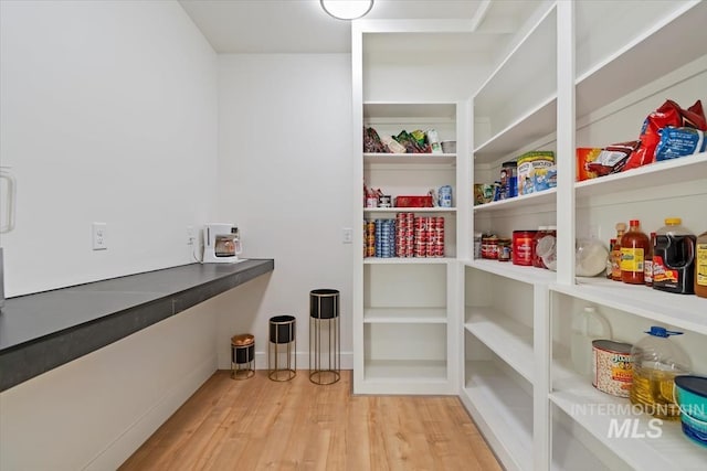 view of pantry