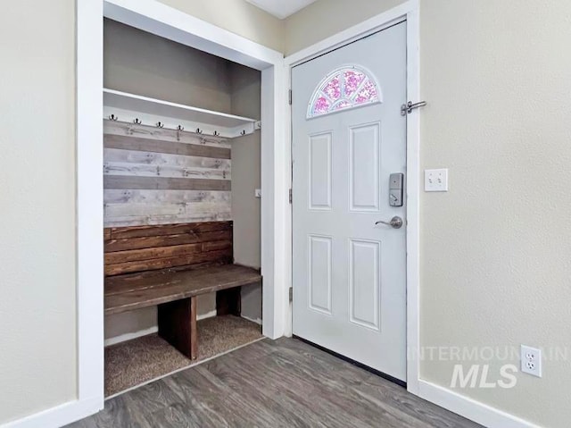 mudroom with dark hardwood / wood-style floors