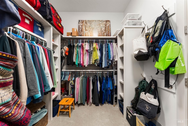walk in closet with carpet