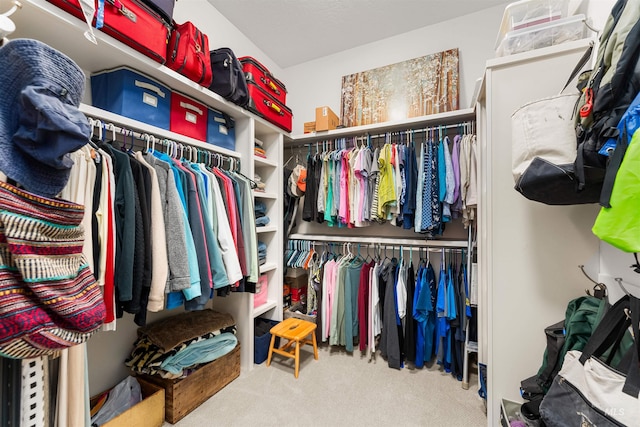 spacious closet featuring carpet