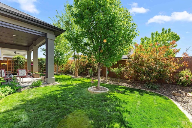 view of yard with a fenced backyard, ceiling fan, and a patio area