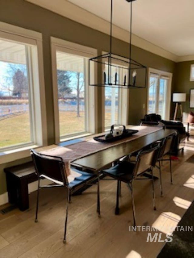 dining space with crown molding, a wealth of natural light, and light hardwood / wood-style flooring