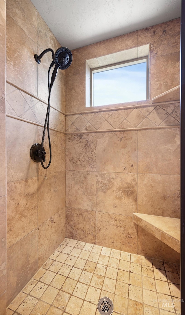 1664 W Par Ct, Eagle, ID 83616 - full bath with a tile shower