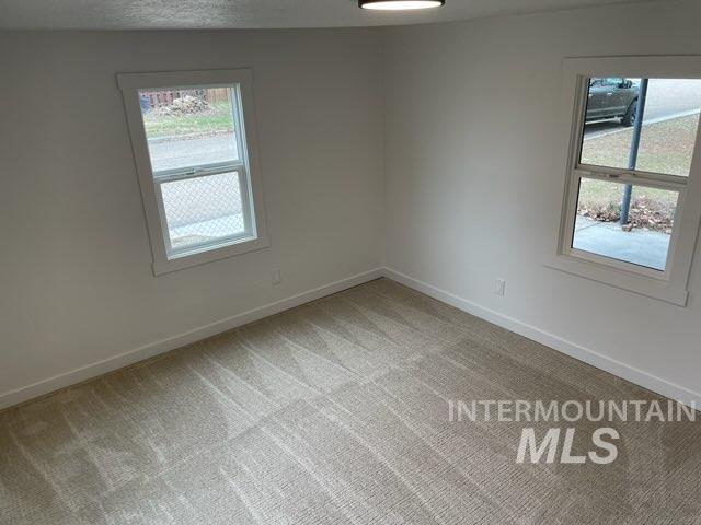 empty room with plenty of natural light, light colored carpet, and baseboards