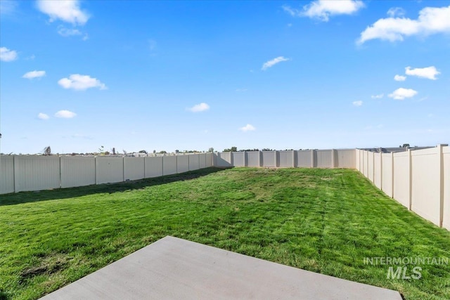 view of yard featuring a patio