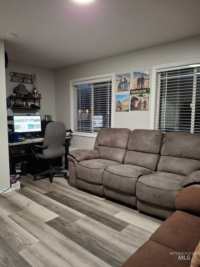 living room featuring wood finished floors
